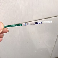 这两天胸部胀痛，月经推迟了三天，然后验了一下，这是有了吗？