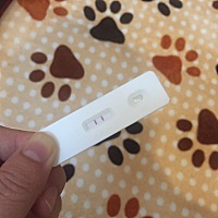 和老婆备孕两年多，终于成功了，老婆辛苦了！爱你么么哒！