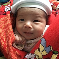 表情包，这是一个多月的时候拍的