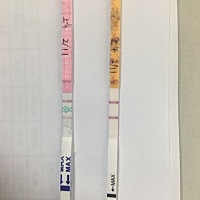 11月有生化过，1月初吃一周中药调理后恢复正常，排卵试纸连续红色双杠好久了，最近有腰酸，肚子和胸都会...