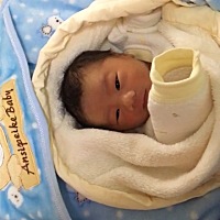 提前2个星期出来  第一次特别激动 虽然疼了一天一夜 最后还是成了剖腹产 只有知道自己当妈了才不容易 远...