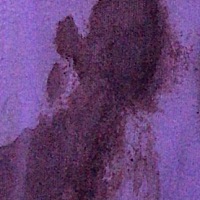 怀孕四十天都见红了