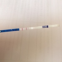 比上次测的深了一点。也不知道宝宝多长时间了