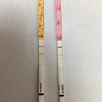 11月生化，1月初吃中药调理后恢复正常。最近腰酸，肚子和胸都会胀痛，偶尔还会痒，排卵试纸红色双杠连续...