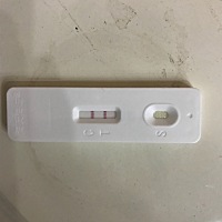 末次月经1月6号，2、10测出怀孕，现在应该5周 3天了，但是没有任何早孕反应。正常吗？需不需要去医院检...