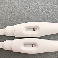 月经还有四天要来，这样是怀孕了吗？