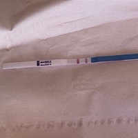 早上刚验出来的怀孕    但是月底要回娘家  坐飞机可以吗