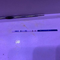 末次月经是1月9号，今天早上测出来强阳 是不是代表胚胎发育还可以啊？