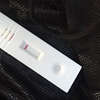 这是什么意思？ 上面三个条格有2道是红色的，拍的不是很清楚。  月经推迟半个月了 出现胸胀痛 腰酸 。