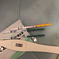 停经快两个月了……还没去医院检查心里有无数个担心……只想说现在生个孩子真的不容易……