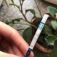 一个昨晚测的，一个今早测的，这是怀孕了？？？？🙃🙃🙃