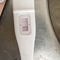 是不是怀孕了🤰？