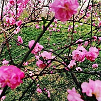 单亲妈妈👩🏻自己带娃~和一个同事网恋，年龄相当！都是25岁，但是人家是大学毕业IT 男，这段感情靠...