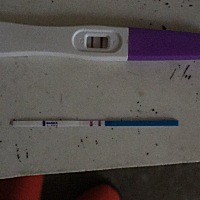 孕妈我这是怀孕了吗？