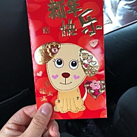 各位亲，准备生个狗宝宝，还未怀孕，有什么小建议？