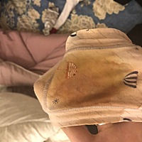 各位宝妈帮忙看下这是流血了吗。怀孕12周。