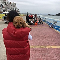 我家狗狗这两天生病了，看着很心疼，抱着它睡觉给它温暖。。。