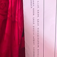 12月31号例假开始～经期36天，20号开始有同房，刚好在排卵期，这是2月22号检查的彩超，孕囊大但是无胚芽...