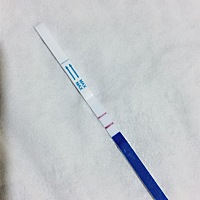 请问这是怀孕了吗？