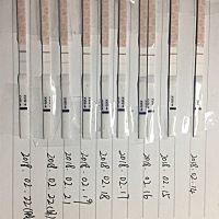 2月9日排卵后，排卵试纸如下图，早孕试纸白板，来月经之前，排卵试纸是不是都会出现弱弱阳的情况的？？