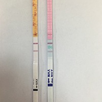 11月生化过后姨妈还没来过，最近排卵试纸都是这样，肚子、胸都胀痛，偶尔肚子和胸还会痒痒的，白带比之...