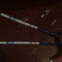 反反复复试了几次～我这真的是怀孕了么！！！？！？！