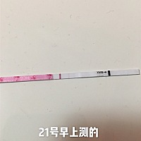 我这样什么时候可以去做b超？下面的是24号也就是今天测的。末次月经1.23，周期稳定29天左右，排卵我不知...