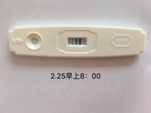 2.25早上换了大卫的测，貌似加深了，但还是一深一浅，到底怀没怀上啊？？例假时间还没到，是不是测早了？