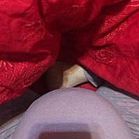 最近胎动太频繁，看别人的肚子都是圆的，我这个肚子……谁看的出来男孩女孩吗？