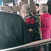 带上女儿，带上老妈去金华，帮妈妈看下有没有适合她做的工作