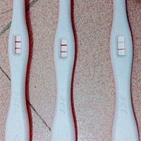 所以说这是百分百有了？上个月十号来的月经。到现在没来。胸痛了半个多月！