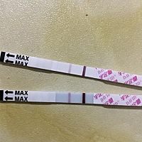 上个月27号来的月经，今天早上和中午排卵试纸又在加强，是怀了吗