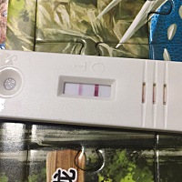 怀孕了？末次月经1.26，2.26测的结果