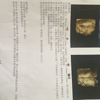 刚照完四维回来，请问是男孩还是女孩啊？