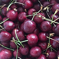 怀孕可以吃车厘子吗？