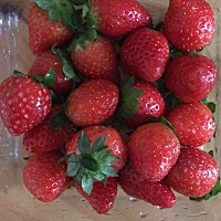 我的宝宝爱吃🍓，你们的呢？