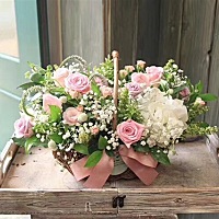 亲们都买什么面霜给宝宝用的呀