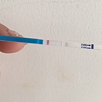 大姨妈2.4来的，刚才又测了一下很浅的粉印是不是没有怀大家看看一下