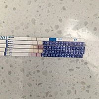 来完号测排卵试纸为什么排卵试纸一直都是一深一浅？