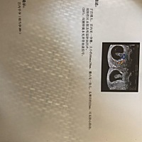 可以看出是男女不？