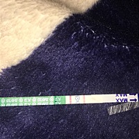 这个是不是有了 前2天测是 一条线 今天早上就2条线了