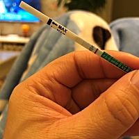 这到底是怀没怀啊😅最后一次月经2月6号