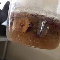 怀孕吃燕窝的好处：燕窝脂肪含量几乎为零，跟大鱼大肉不同，多吃有益，既滋补又不长胖。准妈妈定期食用...