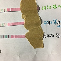 刚测的，估计明天会排卵，今晚啪啪准备😄