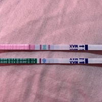 今天早孕试纸和排卵试纸、希望不是炸糊