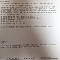 能看得出是男孩还是女孩吗