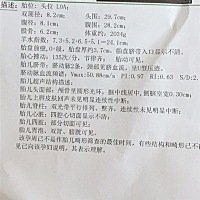 猜男宝女宝🙋🏻🙋🏻 2维单子