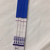 上个月2月6号月经结束，2.19前后排卵，最近三天测试的结果，麻烦亲们看一下是怀孕了么？从四五天前肚子...
