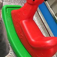 B超看男女准嘛？医生说没有科学依据