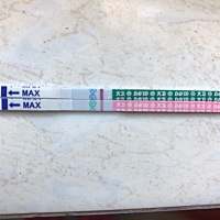 这个怎么看呀~~~求告知   2月13日来的月经，27日是排卵期，这个有没有怀孕呀